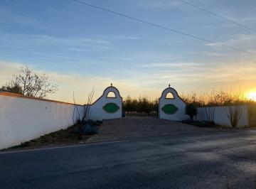 Huerta · 500000m² · Venta Huerta Nogalera Carretera Chihuahua - Juarez