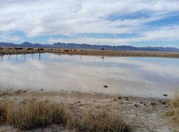 Rancho · 72000000m² · 3 Recámaras · Venta de Rancho Mpio de Aldama