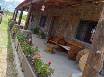 Huerta · 50000m² · 3 Recámaras · Venta de Huerta a 8 Km de Santa Isabel