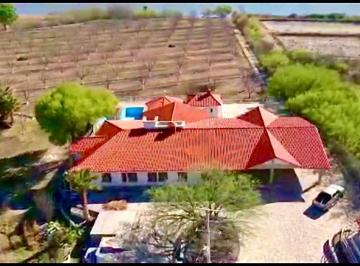 Rancho · 105000m² · Venta de Rancho Agrícola con Huerta Nogalera