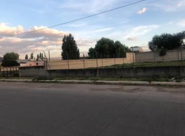 Terreno / Lote · 3200m² · En Venta Terreno Plano en Rubio Chihuahua