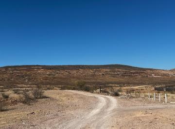 Terreno / Lote · 50000m² · Terreno en Venta