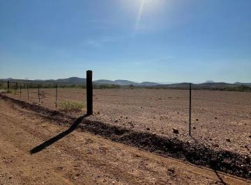 Terreno / Lote · 37000m² · Venta de Terreno en Ejido La Haciendita Cuenta con Titulo de Propiedad