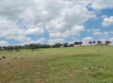 Rancho · 2300000m² · 3 Recámaras · Venta de Rancho Agricola Ganadero en Cusihuiriachi, a Hr y Media de Chihuahua Capital