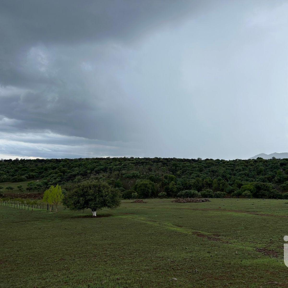 Commercial Land for Sale Adjacent to Highway, 1 km from La Junta, Chihuahua, Chihuahua