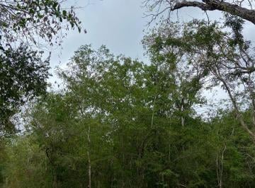 Terreno / Lote · 450000ha · Venta Terreno Ubicado en Uman Merida, Yuc Cerca Amazon