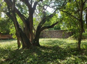Terreno / Lote , Tlaltizapán de Zapata · Terreno en Venta en Ticuman, Morelos