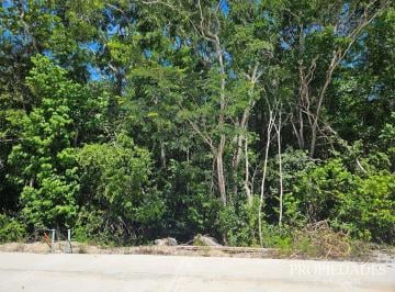 Terreno / Lote , Tulum · Terreno en Venta, Residencial Bak
