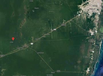 Terreno / Lote · 10000m² · Ha en Venta en Puerto Morelos Leona Vicario