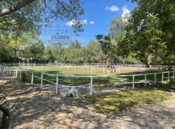 Rancho de 1 habitación, Tepeji del Río de Ocampo · Rancho Privilegiado en Venta con 2 Pozos y Bella Ecología en Tepeji del Rio Hgo.