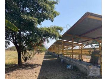 Rancho de 4 habitaciones, Tetecala · Venta Rancho Ideal Para Inversionistas y Ganaderos en Tetecala, Morelos.