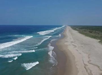 Terreno comercial · Terreno de 750 Hectáreas con Playas Vírgenes Entre El Pacifico y Laguna Salada, Oaxaca - (4)