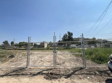 Terreno / Lote , Tijuana · Terreno en Renta – Viñedos Casa Blanca