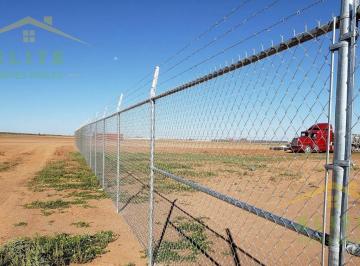Terreno / Lote · 10000m² · Terreno en Renta Ejido El Chocolate Altamira Tamaulipas