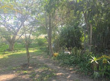 Terreno / Lote · 1000m² · Terreno en Venta Colonia Jardines de Champayan Tampico
