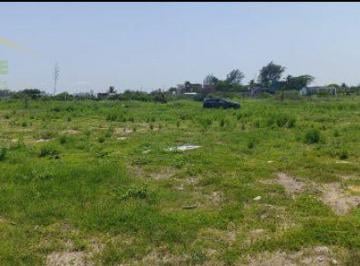 Terreno / Lote · 200m² · Terreno en Venta Colonia Independencia