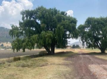 RANCHO, en VENTA, Carretera Atlacomulco El Oro Maravatio · Rancho, en Venta, Carretera Atlacomulco El Oro Maravatio