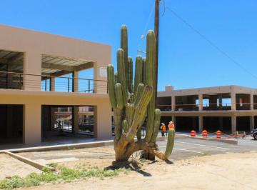 Local comercial , Los Cabos · Local Comercial Planta Alta, en Venta, Corredor Turístico, Cabo San Lucas