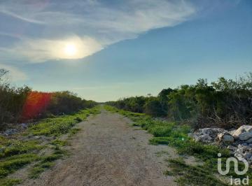 Terreno / Lote · 202m² · Venta de Terrenos Premium en Telchat Puerto Merida Cerca de La Playa
