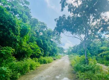 Terreno / Lote , Cozumel · Terreno en Cozumel Quintana Roo