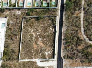 Terreno / Lote , Mérida · Terreno en Venta en Dzitya