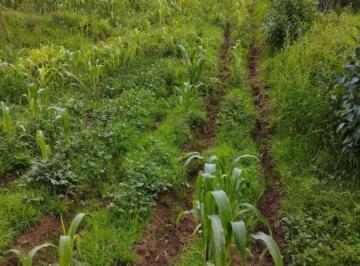 Terreno / Lote · 9000m² · Terreno en Venta Jiquipilco Estado de Mexico