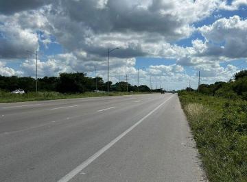 Terreno / Lote , Progreso · Terreno en Renta Sobre Carretera Progreso