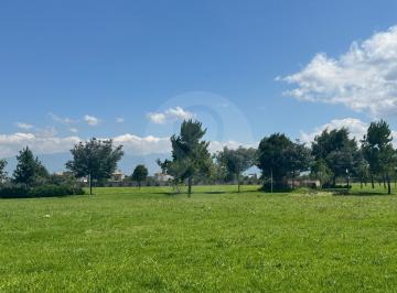 IMG_5264.jpeg · Duero: Terreno Residencial en Venta en San Miguel Totocuitlapilco