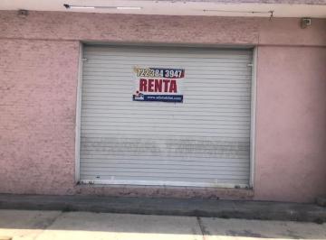 Local comercial · 40m² · Renta de Local Comercial en Toluca, Local Ubicado en La Colonia Vertice