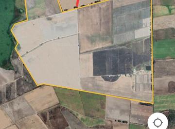 Terreno / Lote , Tala · Terreno en Venta Excelente Oportunidad