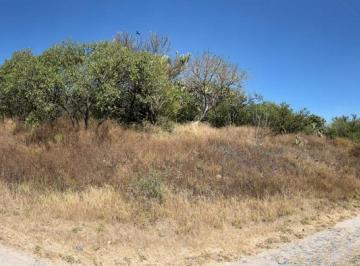 Terreno / Lote · Terreno - Ejido La Punta de Obrajuelo