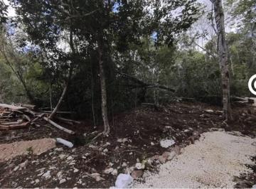 Venta de terrenos en Tulum, financiamiento Kiin Gea · Venta de Terrenos en Tulum, Financiamiento Kiin Gea
