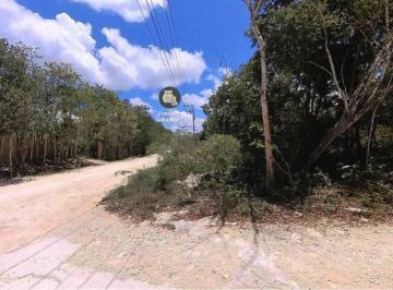 Venta de terrenos en Tulum, financiamiento Kiin Gea · Venta de Terrenos en Tulum, Financiamiento Kiin Gea