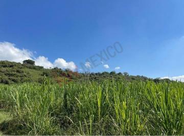 N/A · Terreno en Venta de 3.2 Hectáreas Uso Agricola, Industrial y Explotacion
