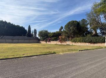 Terreno / Lote , Celaya · Terreno en Venta Fraccionamiento Praderas de La Hacienda