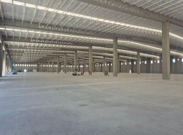 Nave industrial , Tijuana · Nave Aaa 10,000 m² / Zona Rio 3a Etapa