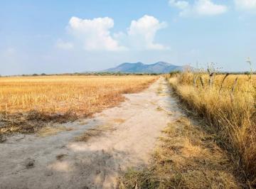Terreno / Lote · 250000m² · Terreno en Peñuelas