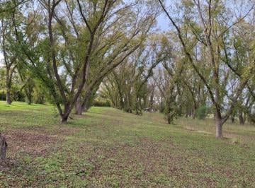 Terreno comercial , Tasquillo · Terreno Productivo con Huerta de Nogales en Venta, Tasquillo Hidalgo