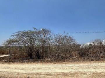 ee5840de3ba973550cd8e1058857040dd6be0c21f0169ce93088c19d40cedb2a · Terreno en Venta en Villa Florencia