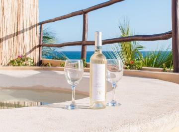 Departamento · 223m² · 2 Recámaras · 1 Estacionamiento · Lujoso Penthouse en Venta Frente Al Mar en Mahahual con Roof Top Privado