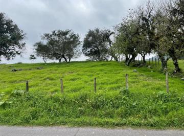Terreno / Lote · Terreno - Coatepec
