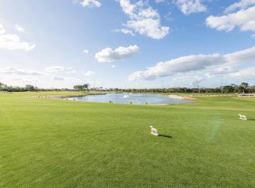 Terreno / Lote , Mérida · Terreno en Venta en Provincia Club de Golf Reventa