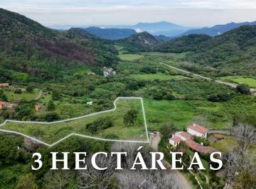 Terreno / Lote , San Sebastián del Oeste · "3 Hectáreas Premium en La Entrada de San Sebastián del Oeste, Ideal Para Boutique o Glamping"