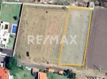 Terreno / Lote · 1250m² · Terreno en Venta - (4)
