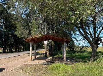 Terreno / Lote , Chiquilistlán · Terreno Venta Chiquilistlan 4.6 Has con Frente a Carretera a Guadalajara Frente Rancho Huicicile