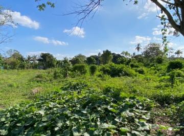 Terreno / Lote · 62849m² · Terreno - Rancho o Rancheria Gonzalez