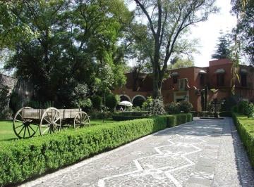 69f1b96953a7d8b8cab96b5d302539e645ef04d03ecbb2db718d876e9e06cfc5 · Casa en Renta en Coyoacan