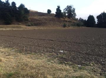Terreno / Lote , Atizapán · Terreno Regular en Venta en Santa Cruz, Atizapan, Estado de Mexico