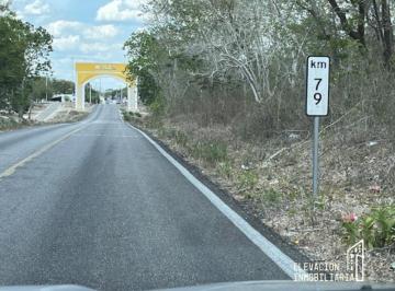 Terreno / Lote · 1040000m² · Venta de Rancho en Sudzal Yucatán, México | 101 Hectáreas