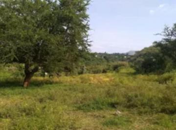 Terreno / Lote · 10000m² · Chiconcuac, Xochitepec, Morelos - (4)